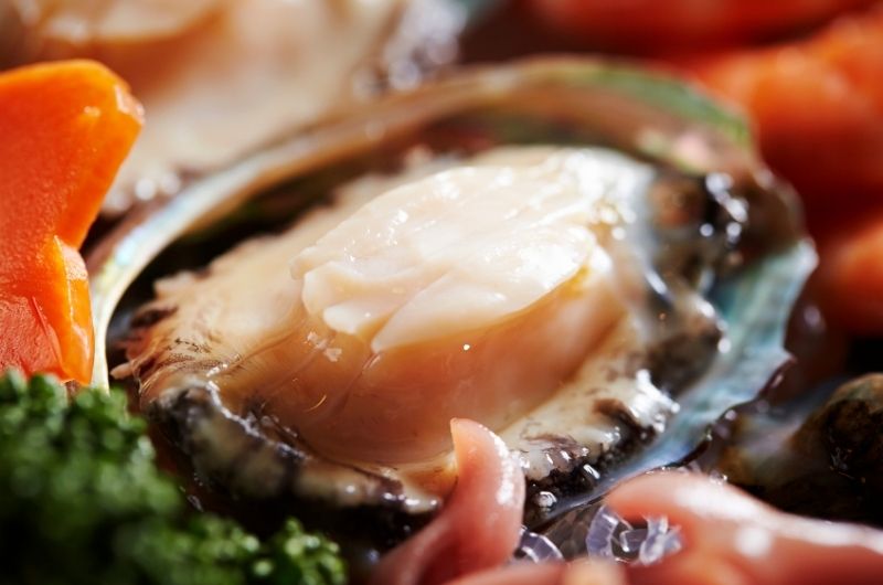 海味鮑魚，品味極致的美食享受